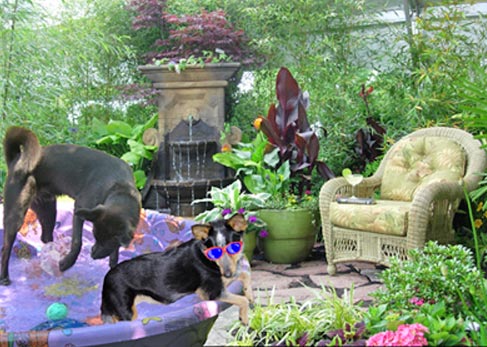 Gardening with Ciscoe - Dogs