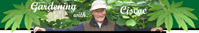 Gardening with Ciscoe - Gardening