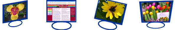Gardening with Ciscoe - Links