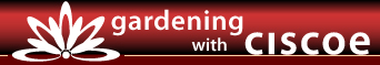 Gardening with Ciscoe - Media